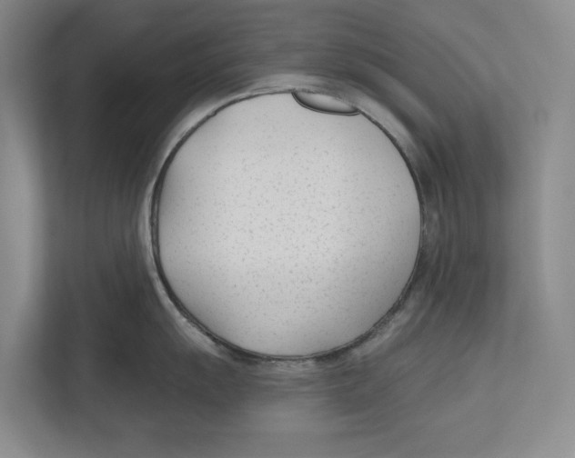 X0000112481055200909141140