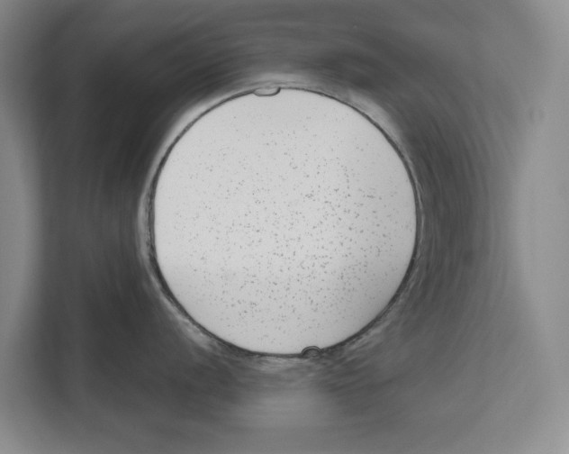 X0000112481056200909141140