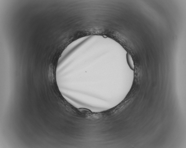 X0000112481058200909141139