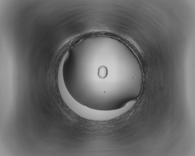 X0000112481064200909141139