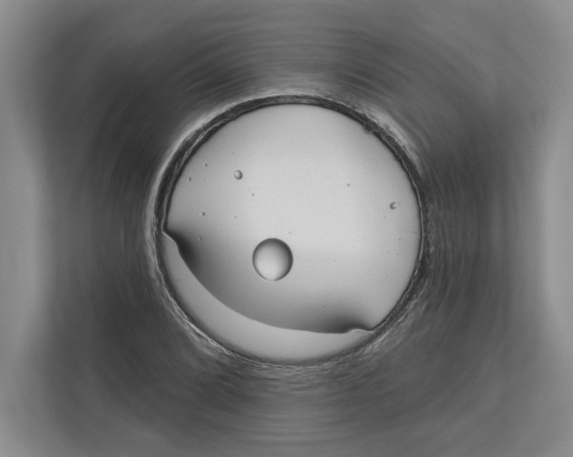 X0000112481072200909141139