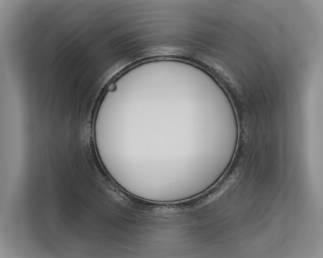 X0000112481073200909141139