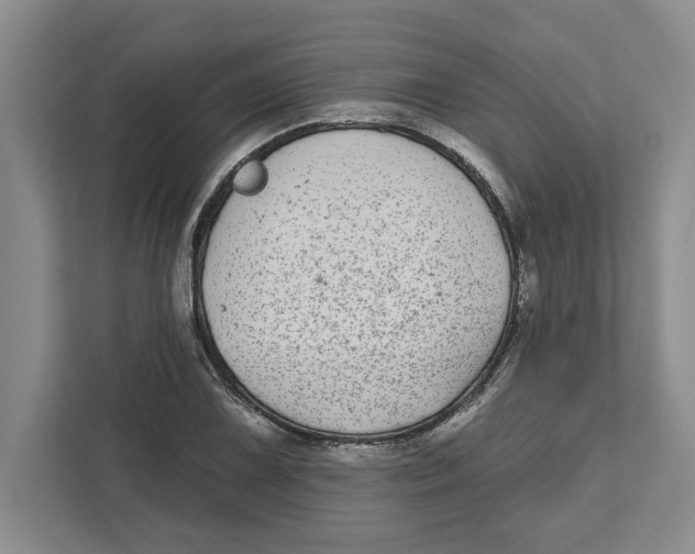 X0000112481075200909141139