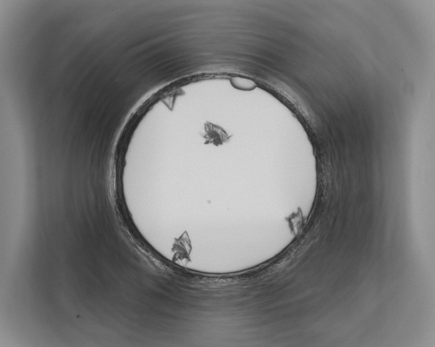 X0000112481076200909141139