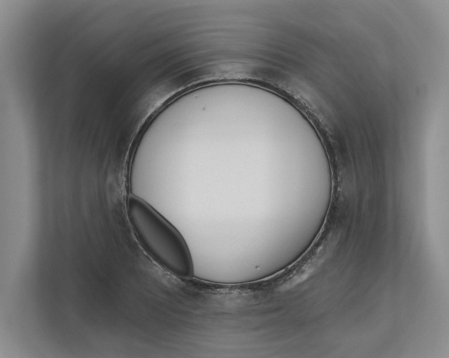 X0000112481081200909141139