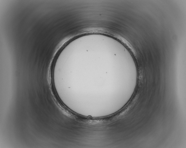 X0000112481082200909141139