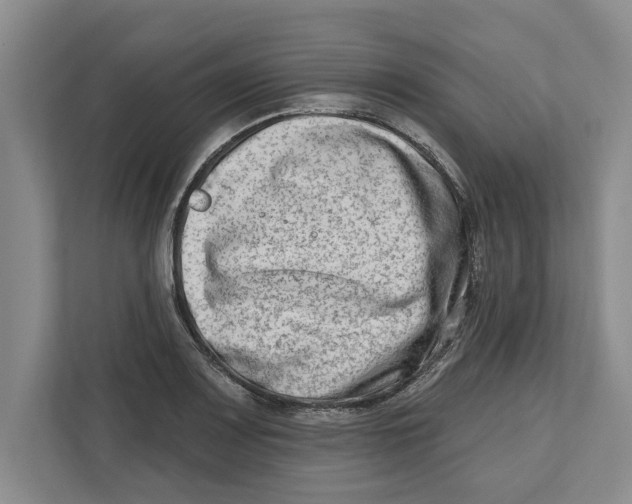 X0000112481083200909141139