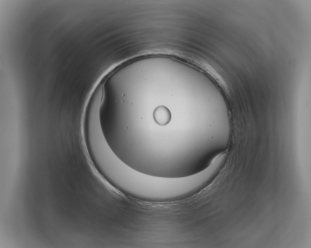 X0000112481084200909141139