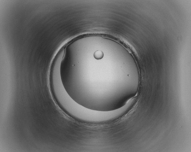 X0000112481085200909141139