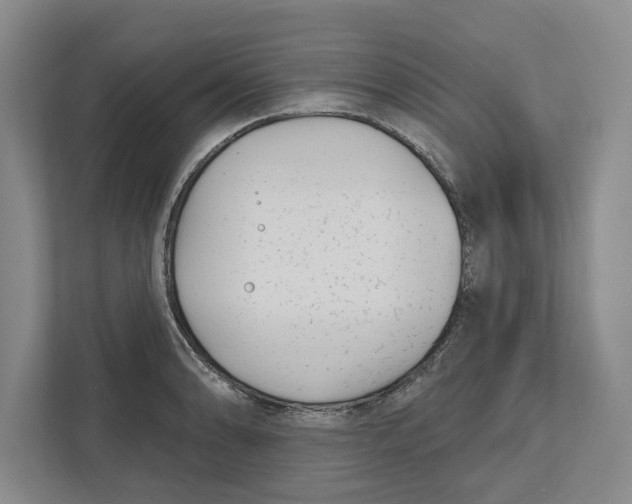 X0000112481086200909141139