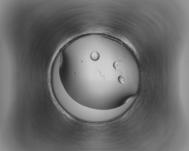 X0000112481088200909141139