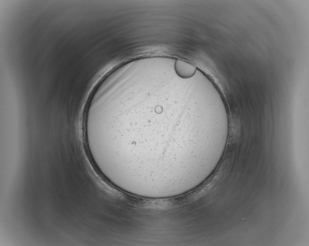 X0000112481090200909141139