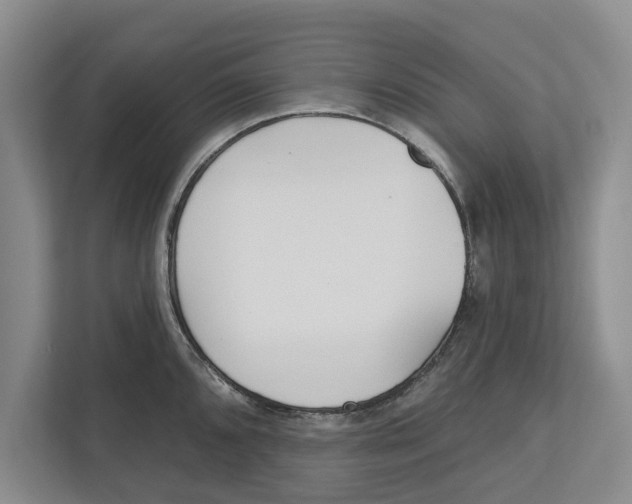 X0000112481096200909141138