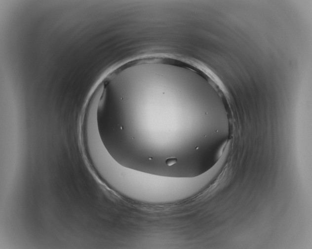 X0000112481101200909141138