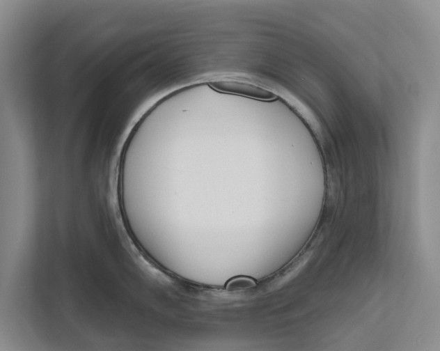 X0000112481102200909141138