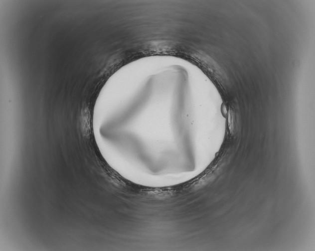 X0000112481107200909141138