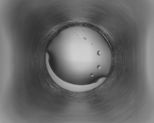 X0000112481110200909141138