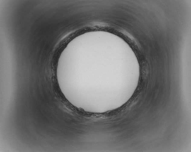 X0000112481112200909141138