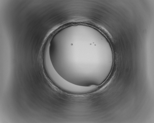 X0000112481114200909141138