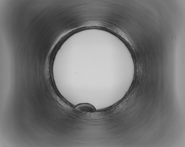 X0000112481116200909141138