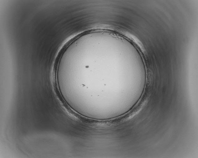 X0000112481125200909141138