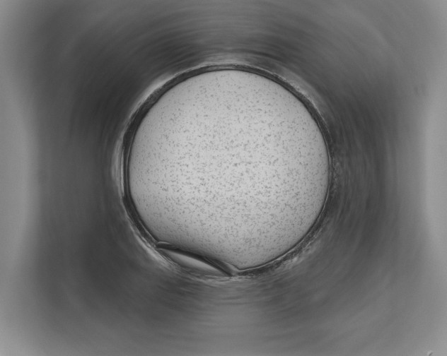 X0000112481127200909141138