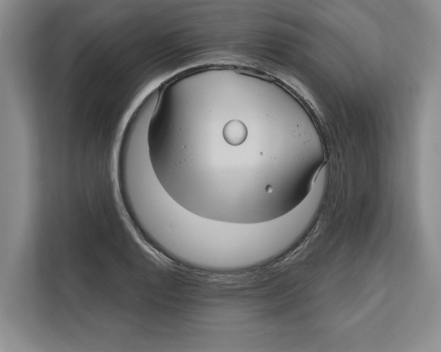 X0000112481128200909141138