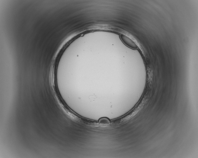 X0000112481131200909141138