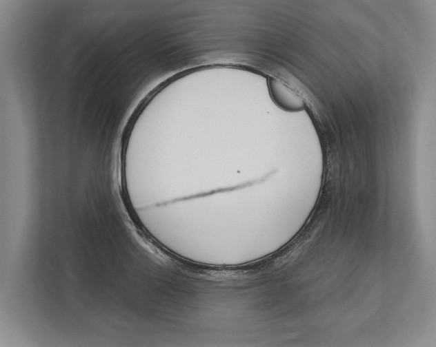 X0000112481132200909141138