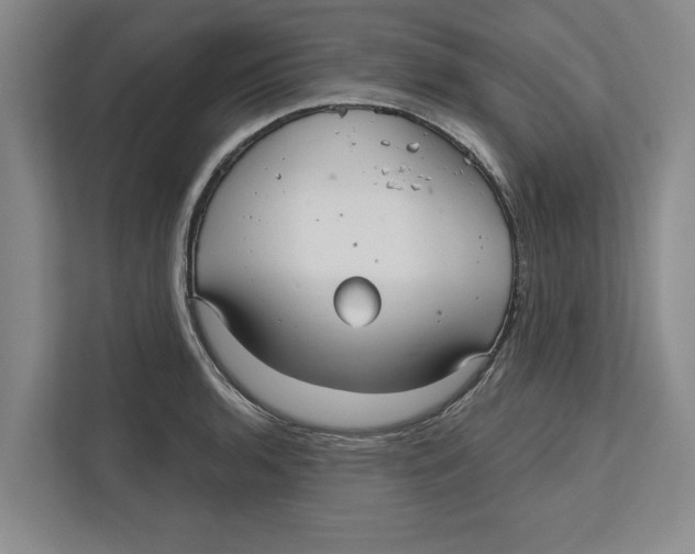 X0000112481136200909141138