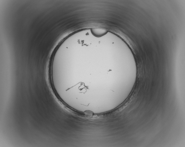 X0000112481139200909141138