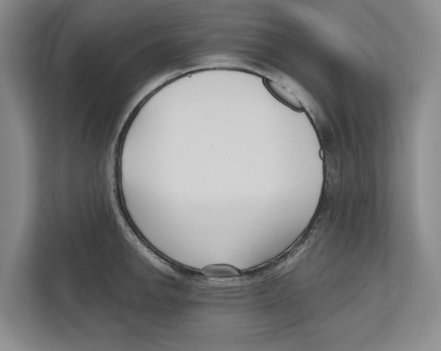 X0000112481142200909141138