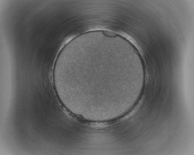 X0000112481145200909141138