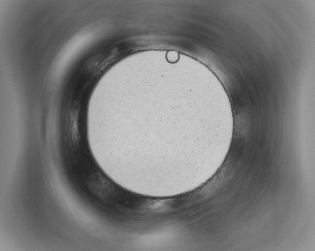 X0000112481150200909141138