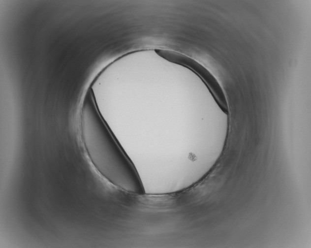 X0000112481152200909141138