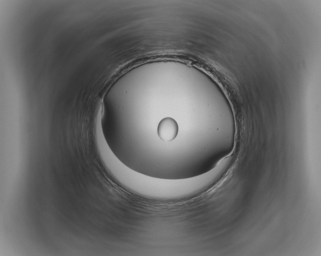 X0000112481161200909141138