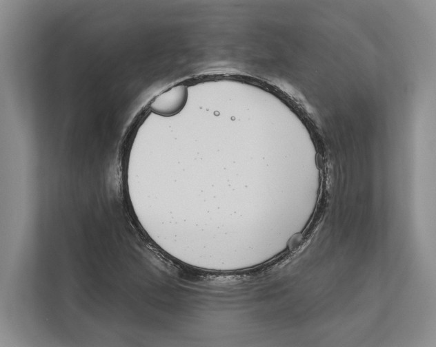 X0000112481167200909141138