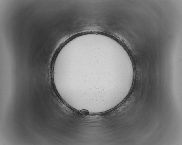 X0000112481168200909141138