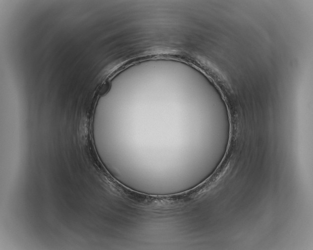 X0000112481169200909141138