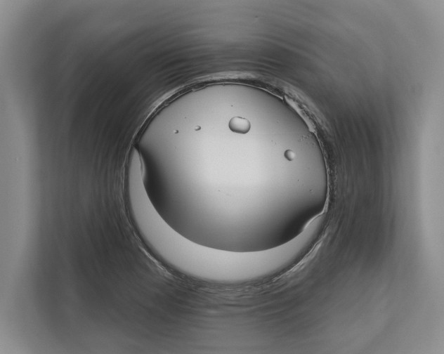 X0000112481177200909141137