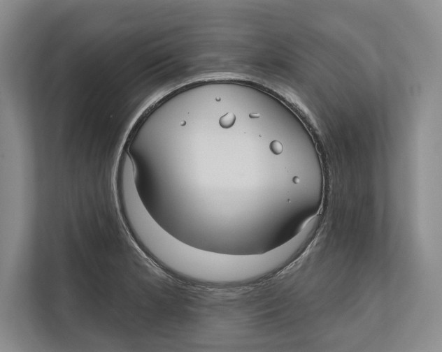 X0000112481181200909141137