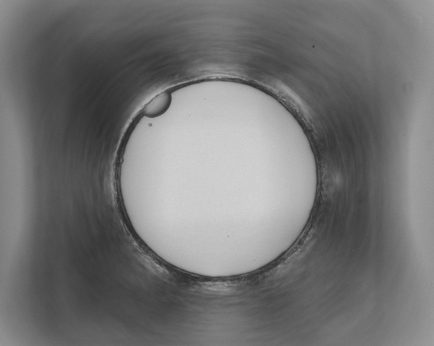 X0000112481182200909141137