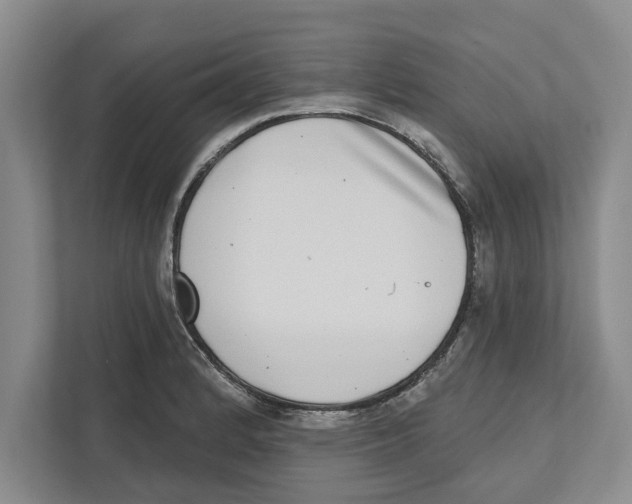 X0000112481184200909141137