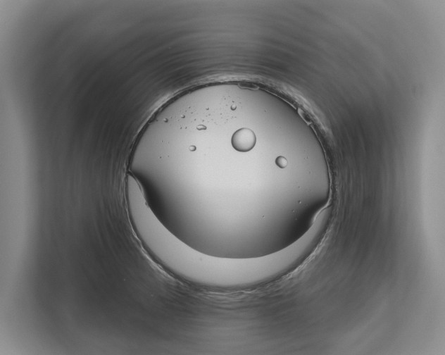 X0000112481185200909141137