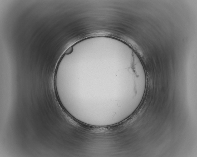 X0000112481186200909141137