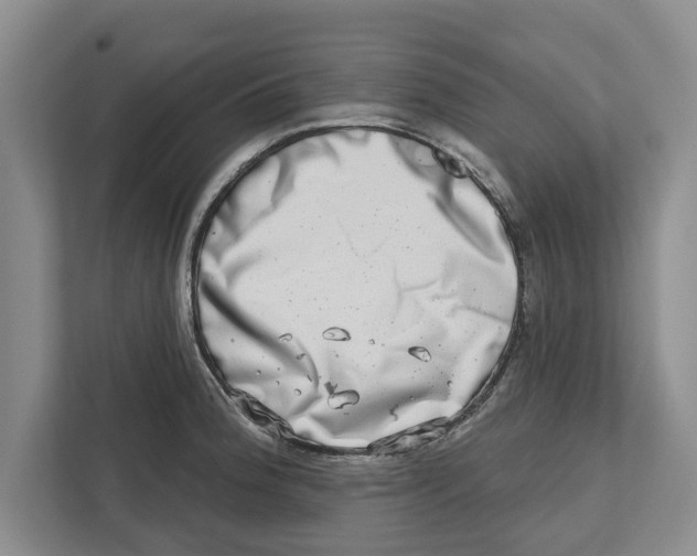 X0000112481188200909141137