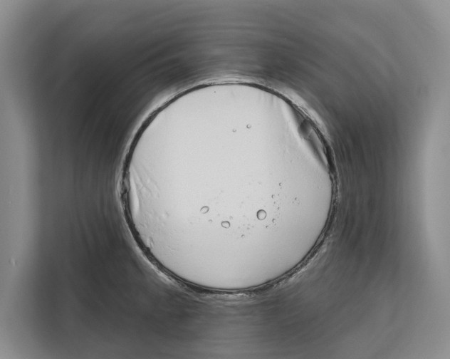 X0000112481189200909141137