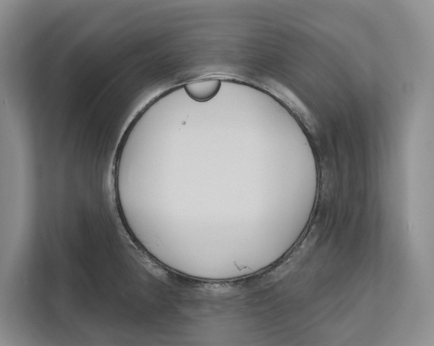 X0000112481190200909141137