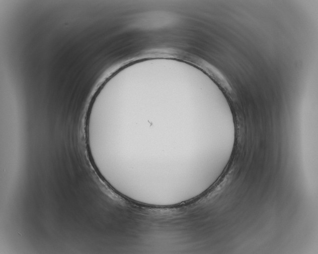 X0000112481192200909141137