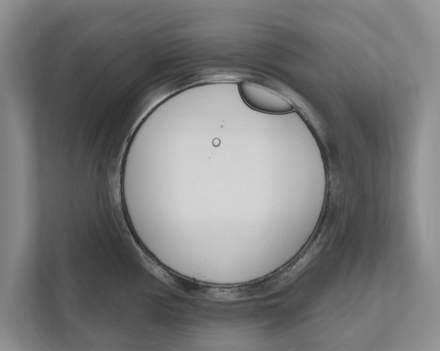 X0000112481194200909141137